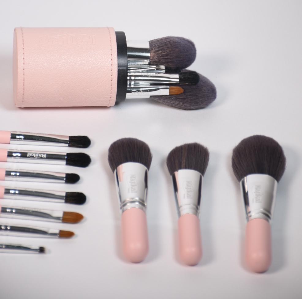 Kit de brochas x10 pcs