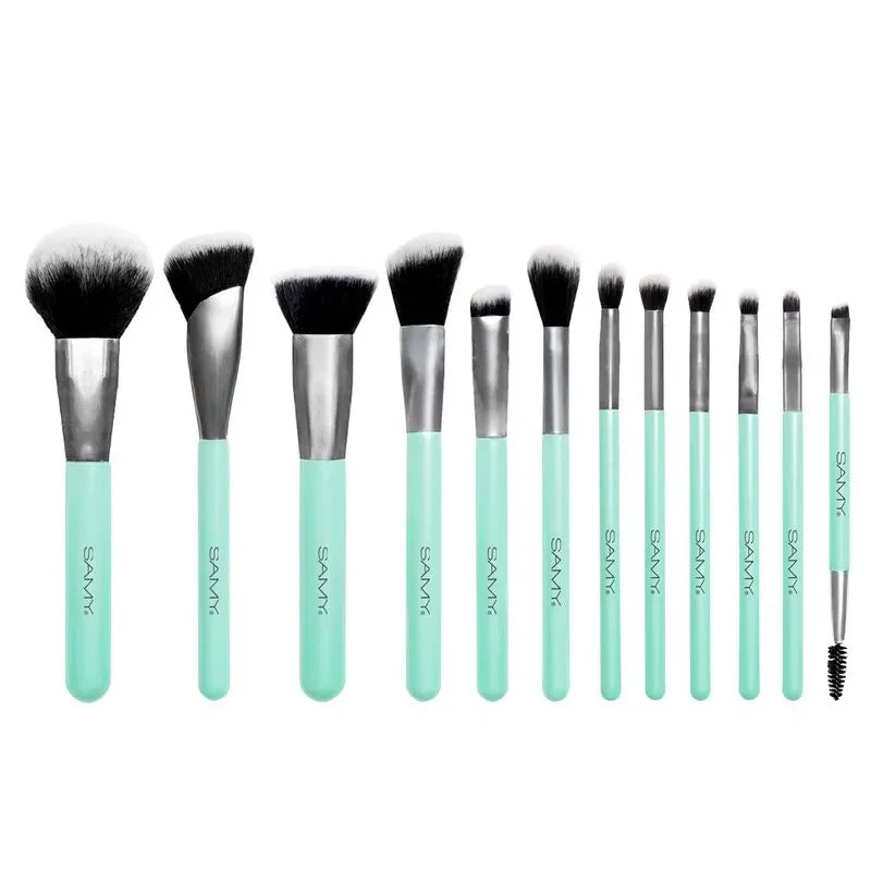 Kit de brochas x12 smay providencia