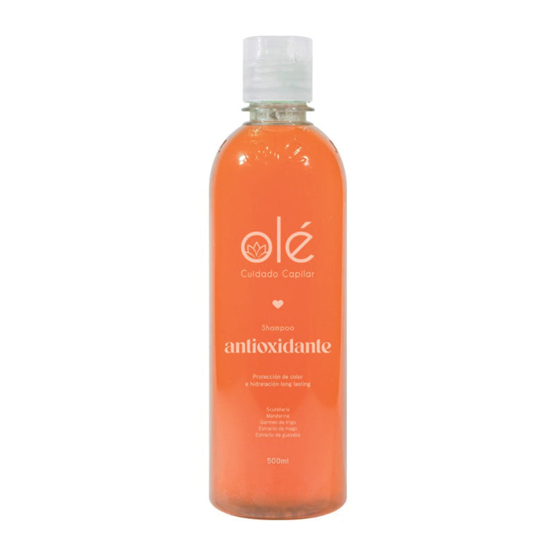 Shampoo antioxidante mix de frutas x500 ml