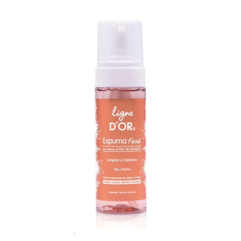 Espuma facial x160 ml