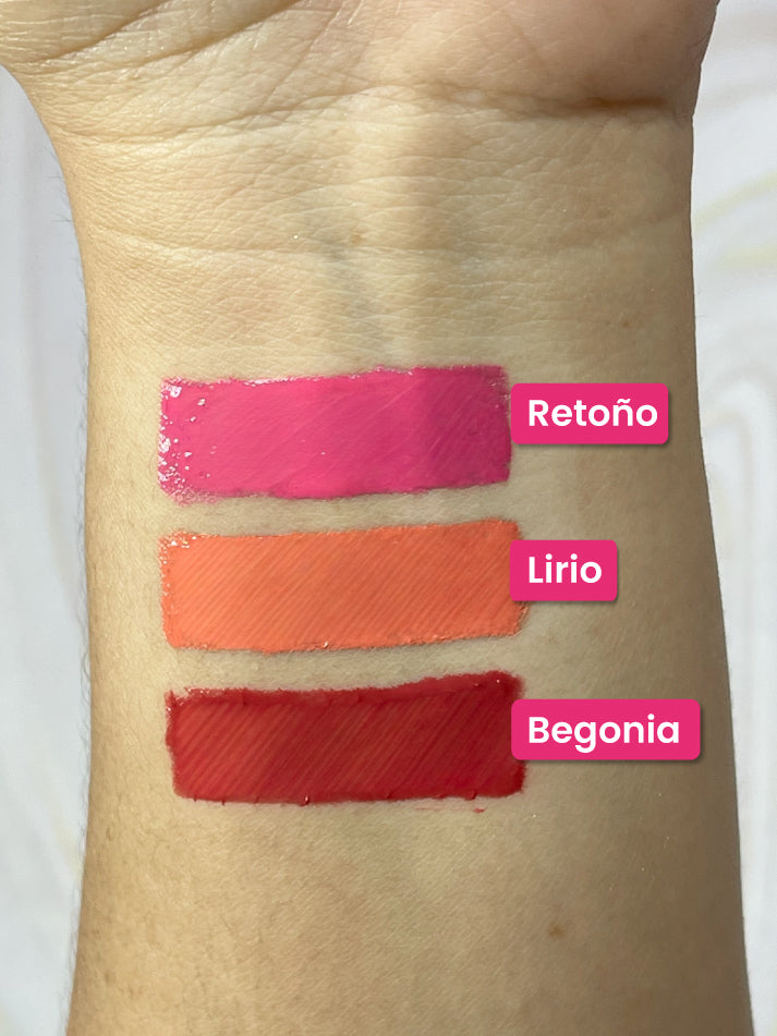 Rubor liquido pitufos - Begonia
