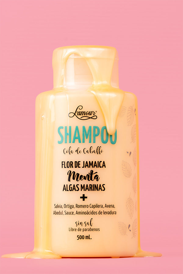 Shampoo cola de caballo grande 500 ml