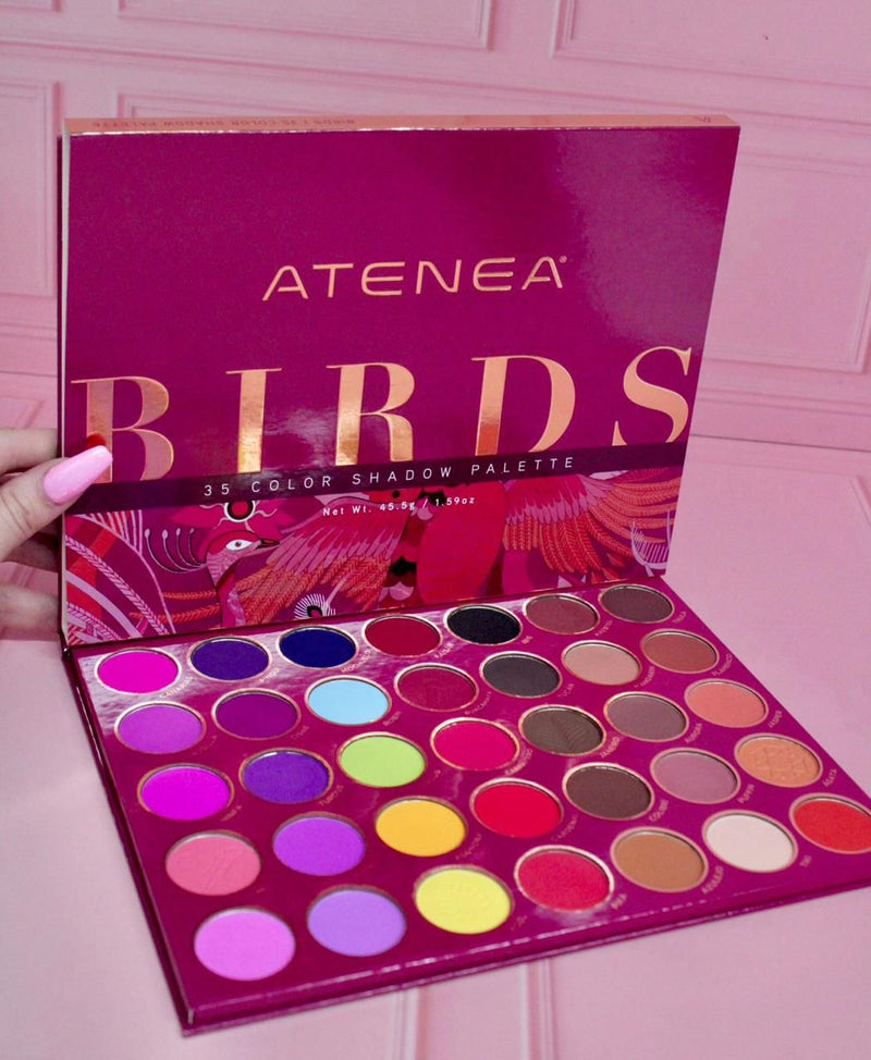Paleta birds